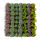 Succulent Plants (20 Pack) | $32 | Amazon